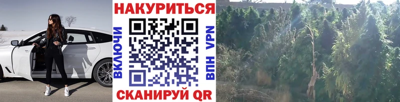 Каннабис LSD WEED  Купить где  Чаплыгин 
